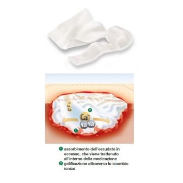 Suprasorb A Compr.10x10 10pezzi