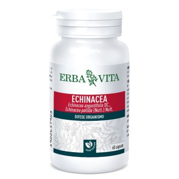 Echinacea 60 Capsule 500mg Ebv