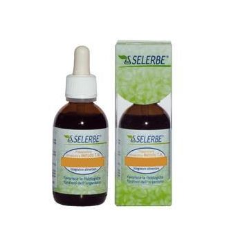 Bardana tm 50ml selerbe