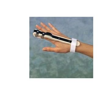 Ro+ten ferula est.dito l