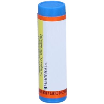 Rhus toxicodendron 5ch 80gr
