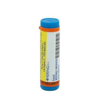 Pulsatilla 012lm gl 1g