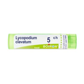 Lycopodium clavatum 5ch 80gr