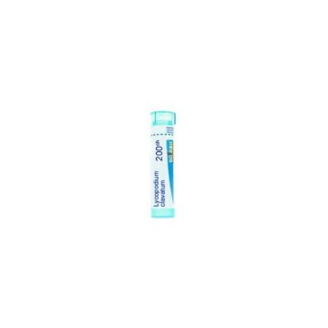 Lycopodium clavatum 200ch80gr