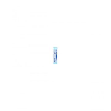 Bryonia 9ch 80gr 4g