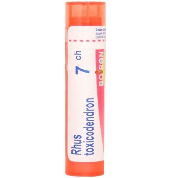 Rhus toxicodendron 7ch 80gr 4g