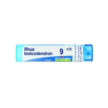 Rhus toxicodendron 9ch 80gr 4g
