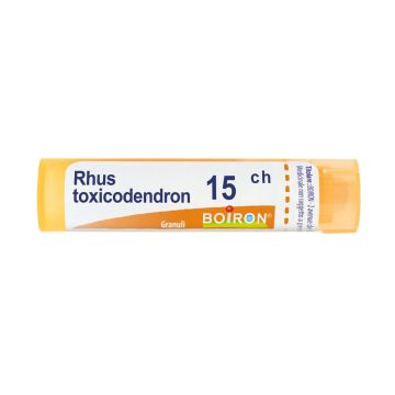 Rhus toxicodendron 15ch 80gr4g