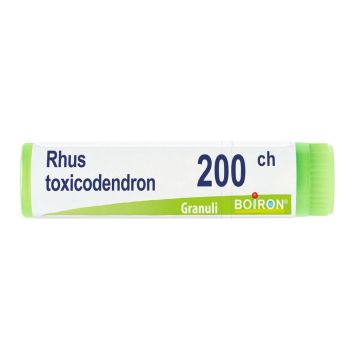 Rhus toxicodendron 200ch gl 1g