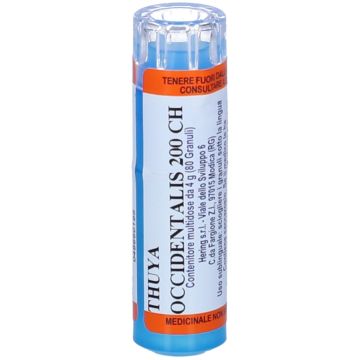 Thuya occidentalis 200ch 80gr