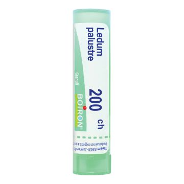 Ledum palustre boi 200ch80gr4g