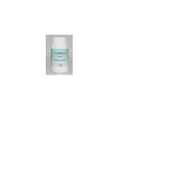 Cystiplus 60 capsule