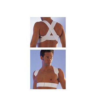 Scudotex raddrizzasp.5