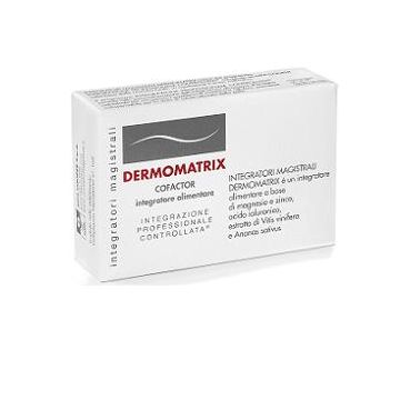Dermomatrix Integratore Magistrale 20 Capsule