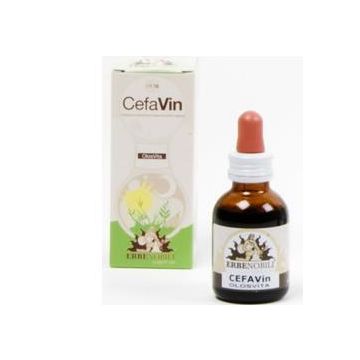 Cefavin 50ml