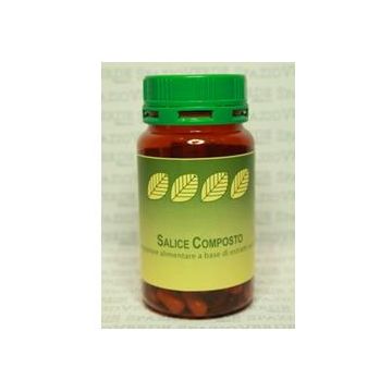 Salixan 60 Capsule 500mg