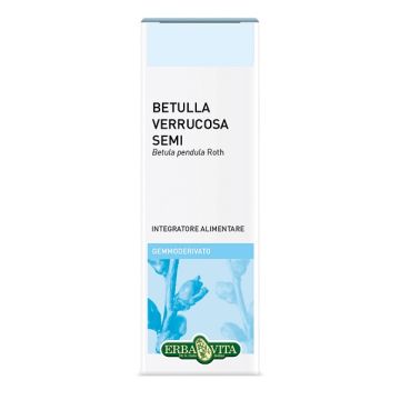 Gemmoderivato betulla semi ebv