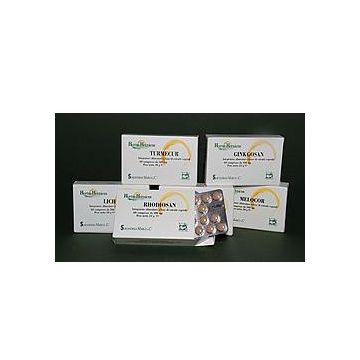 Ginkgosan 60 Compresse 400mg Sarand.