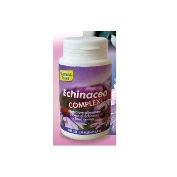 Echinacea Cpx 50 Capsule N-p