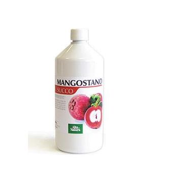 Mangostano succo 1lt a-natura
