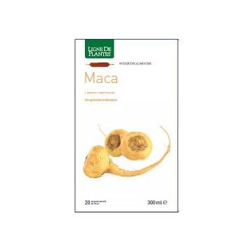 Maca bio 20ab 15ml