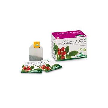 Infuso bio fruttabosco 20f.spe