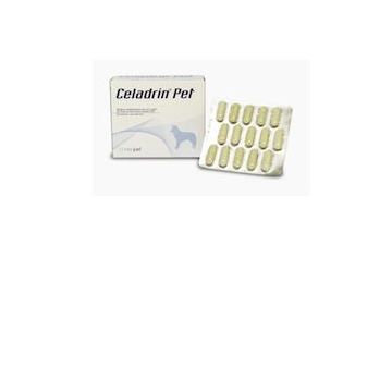 Celadrin Pet 60 Compresse