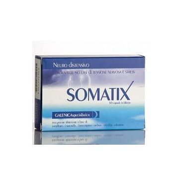 Somatix 30capsule