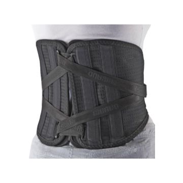 Gibaud-ort.cint.lombogib sen.1