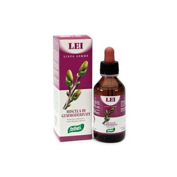 Zefirus lei 100ml          stv