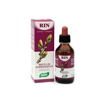 Zefirus rin linea gemme