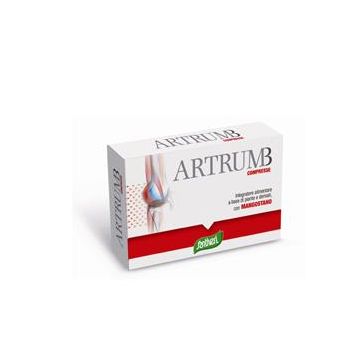 Artrum B C/mangost.48 Compresse Stv