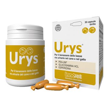 Urys 30 Capsule