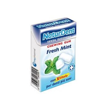 Naturdent fresh mint