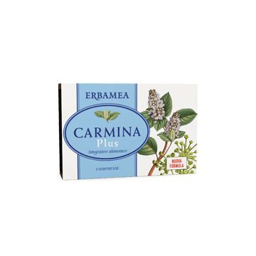 Carmina Plus 24compresse 800mg Erbamea