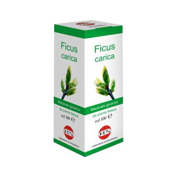 Ficus carica mg 100 ml gocce