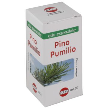 Pino pumilio olio essenziale 20 ml