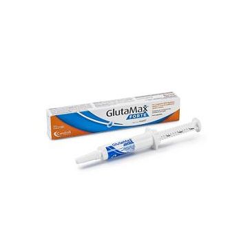 Glutamax Fte Pasta 15 ml