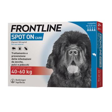 Frontline Spot On Cani x4 Pipette, Antiparassitario per Cani e Cuccioli (40-60Kg), Contro Pulci, Zecche E Pidocchi