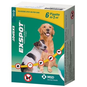 Exspot 6 pip 1ml