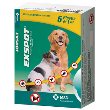 Exspot 6 pip 1ml