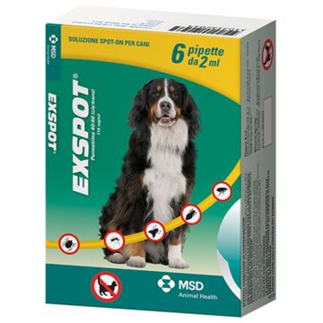 Exspot 6 pip 2ml