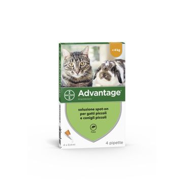 Advantage Antiparassitario Spot-On Gatti E Conigli Piccoli Peso Fino A 4 Kg 4 Pipette 0,4 Ml