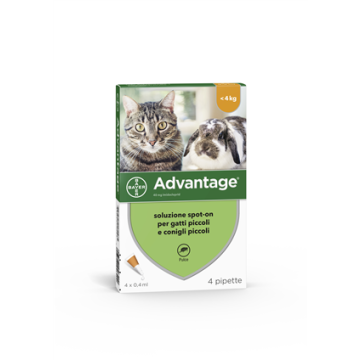 Advantage Antiparassitario Spot-On Gatti E Conigli Piccoli Peso Fino A 4 Kg 4 Pipette 0,4 Ml