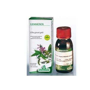 Sp.ippocastano 3 gemmosol 50ml
