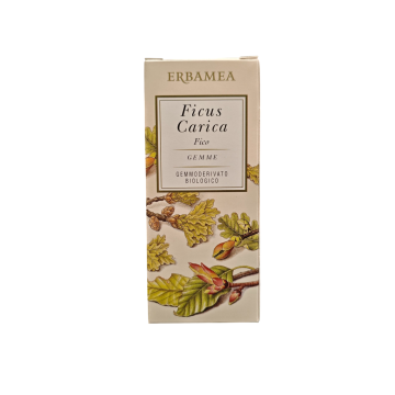 Erbamea Ficus Carica Gemme GD Bio 50 ml