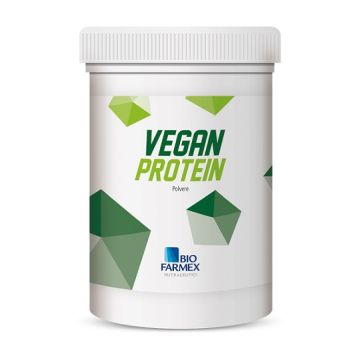 Vegan protein 500g