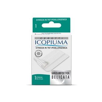 Icopiuma str.tnt  50x6cm