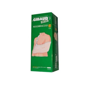 Gibaud-ort.reggibr.2