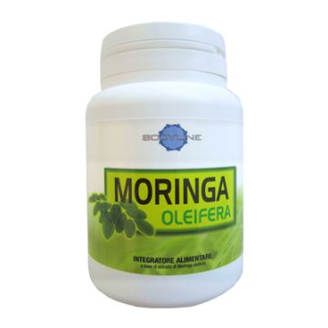 Moringa Oleifera 60 Capsule